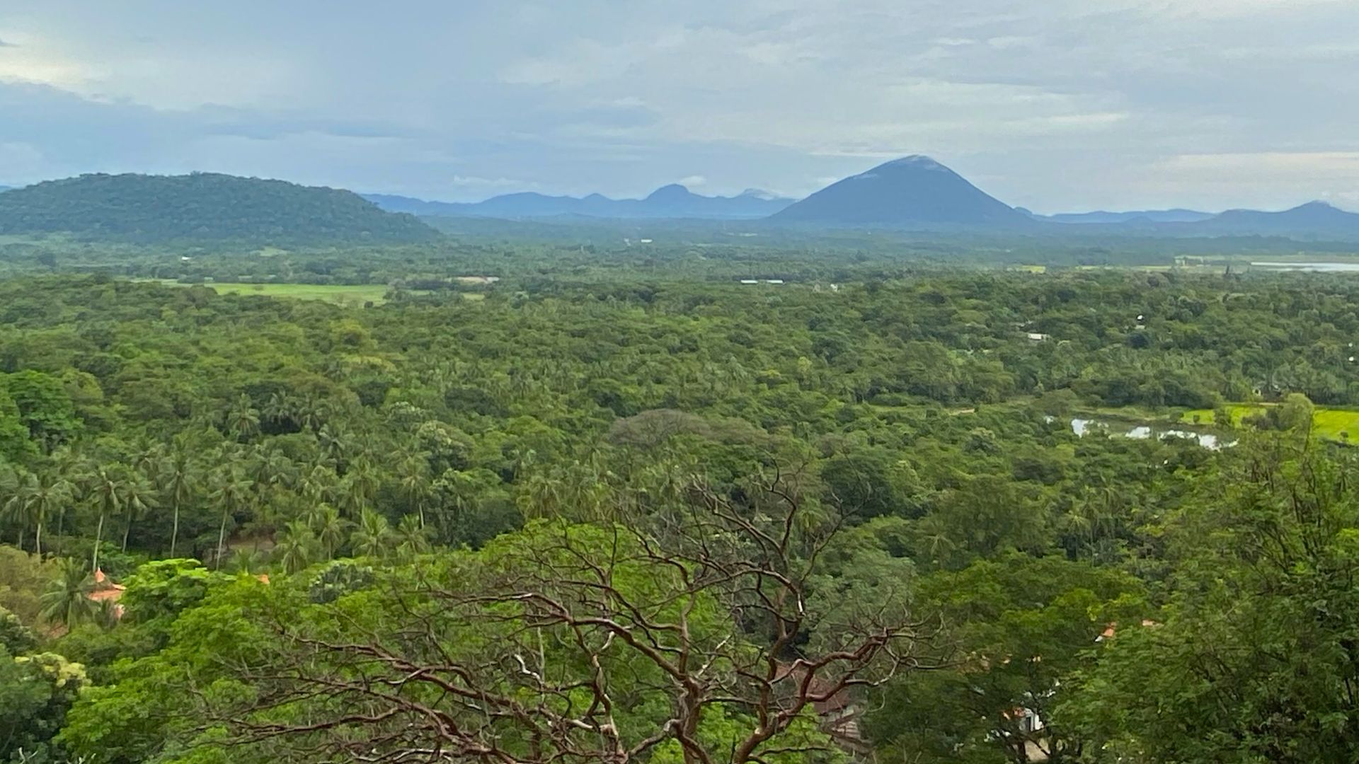 The Cave Chronicles: Discovering The Golden Temple Of Dambulla photo
